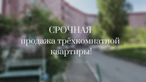 "Семейное счастье" 3-х комнатной квартиры. Невинномысск Калинина 181