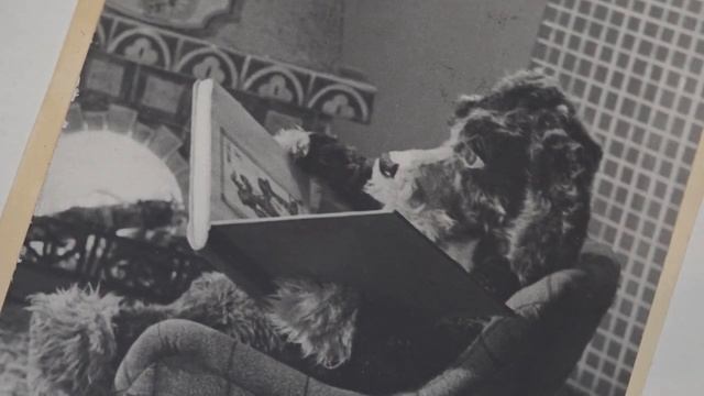 Мытищинцев приглашают посетить выставку телепередач? смотреть онлайн