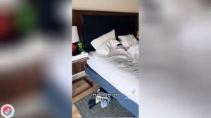 Best video of Tik Tok! 26.05.25 / 10