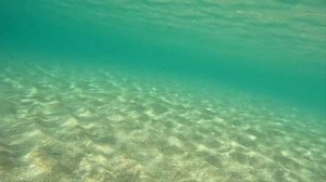 Анапа 28.03. 2025. Состояние пляжа и дна моря в ст. Благовещ?