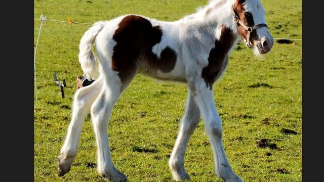 цитаты саморазвитие и психология смотреть онлайн