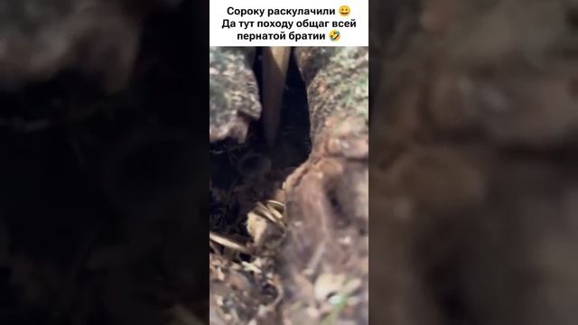 VID-20250523-WA0091