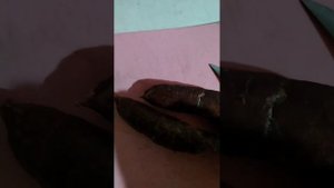 Домашняя копчёная колбаска из козьего мяса и копчёное