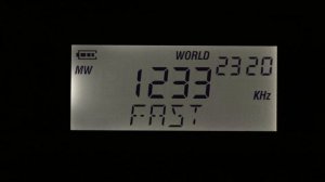 Радиоприёмник Qodosen DX-286