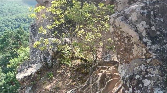 Планческие скалы( поход выходного дня ) #краснодарский смотреть онлайн