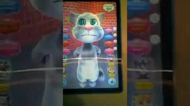 Кот Том планшет смотреть онлайн