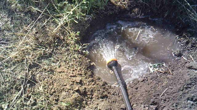 Полив свежевыкопанных лунок для семян тыквы