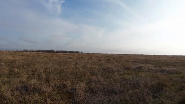 Охота на зайца с подхода, жара +10 в январе. Сезон 2024-2025 смотреть онлайн