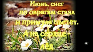 На заливе лёд весною тает. Играет и поёт Макар Оверин (Пермь), очень талантливо, любой проверь