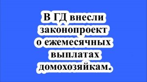 В ГД внесли законопроект о ежемесячных выплатах домохозяйкам.
