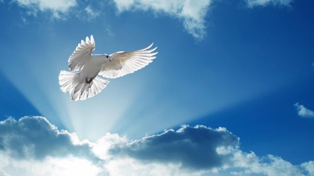 Хор Церкви ХВЕ Пермь - 066 Чудный, вeчный Бoг смотреть онлайн