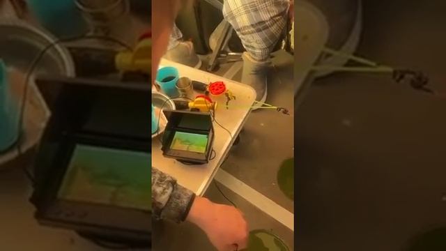 Мои зубы на дне 😂