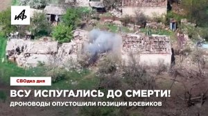 ВСУ испугались до смерти! Дроноводы опустошили позиции боевиков