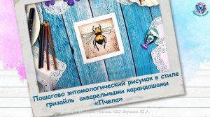 Пошагово энтомологический рисунок в стиле гризайль  акварельными карандашами «Пчела»