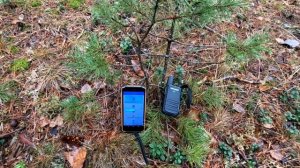 Tidradio TD-M11 еще один малыш.