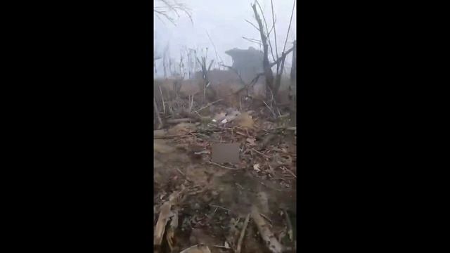 Царь пушка с противоминными катками