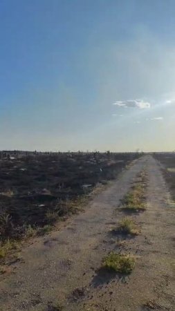 Пожар на Трусовском кладбище