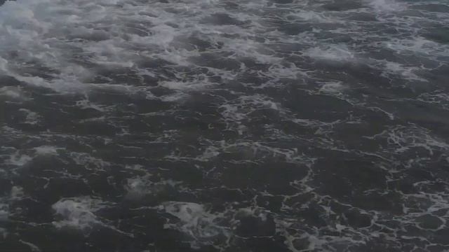 Страшные Создания Бермудского Треугольника: Что Скры? смотреть онлайн