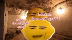 lemon and nugget Gegagedigedagedago / наггетс ковбой / Nuggets Cowboy / omega nugget s