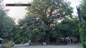 Гуляем часть 2