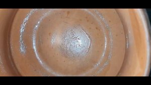 Жаркое с грибами и сметаной