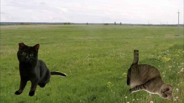 Как энерго Мурка получила свои способности смотреть онлайн