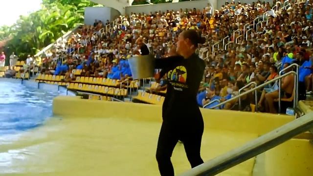 Orca Ocean show Loro Parque 2014 - Выступление косаток Лоро-парк смотреть онлайн