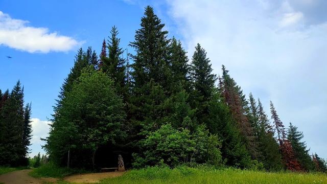 СЧАСТЬЕ НЕ ЗА ГОРАМИ ч. 8 смотреть онлайн