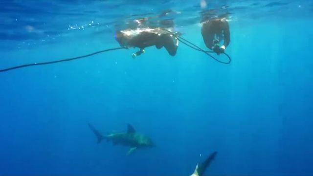 Я побывал на 5 самых опасных мест на земле смотреть онлайн