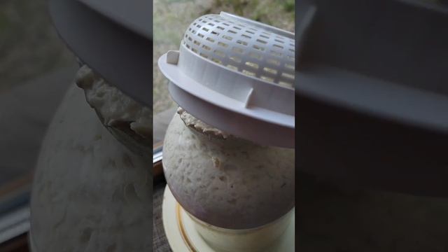 Творог Деревенский(быстрое приготовление твогора),ре? смотреть онлайн