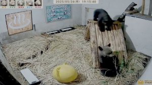 С 18 до 19 час поспали и продолжили игры