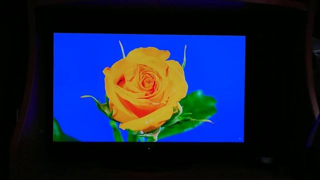 OLED лучше всех? Обзор монитора MSI MAG 271QPX QD-OLED смотреть онлайн