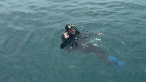 ВЬЕТНАМ / ДАЙВИНГ / НЯЧАНГ - СКОЛЬКО СТОИТ И ГДЕ ПОГРУЗИ