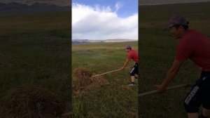 Тарбағатай ауданы Жаңа Ауылы