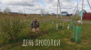 03.05.2025 День прополки.