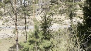 Участок ИЖС 7 соток, Мистолово