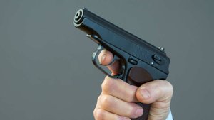 Ростовчанин выстрелил в школьниц, собиравших черешню на его участке