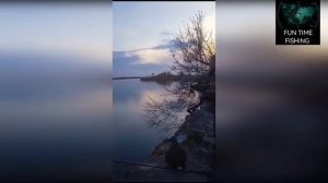 (Видео от брата) рыбалка на маныче.