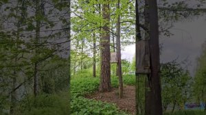 осторожно белка