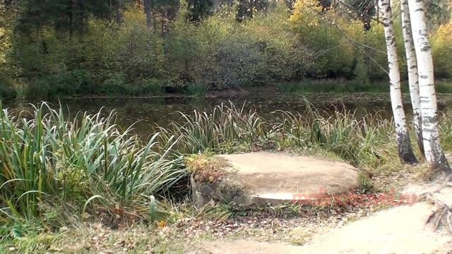 Шахматово. Тараканово. Боблово смотреть онлайн