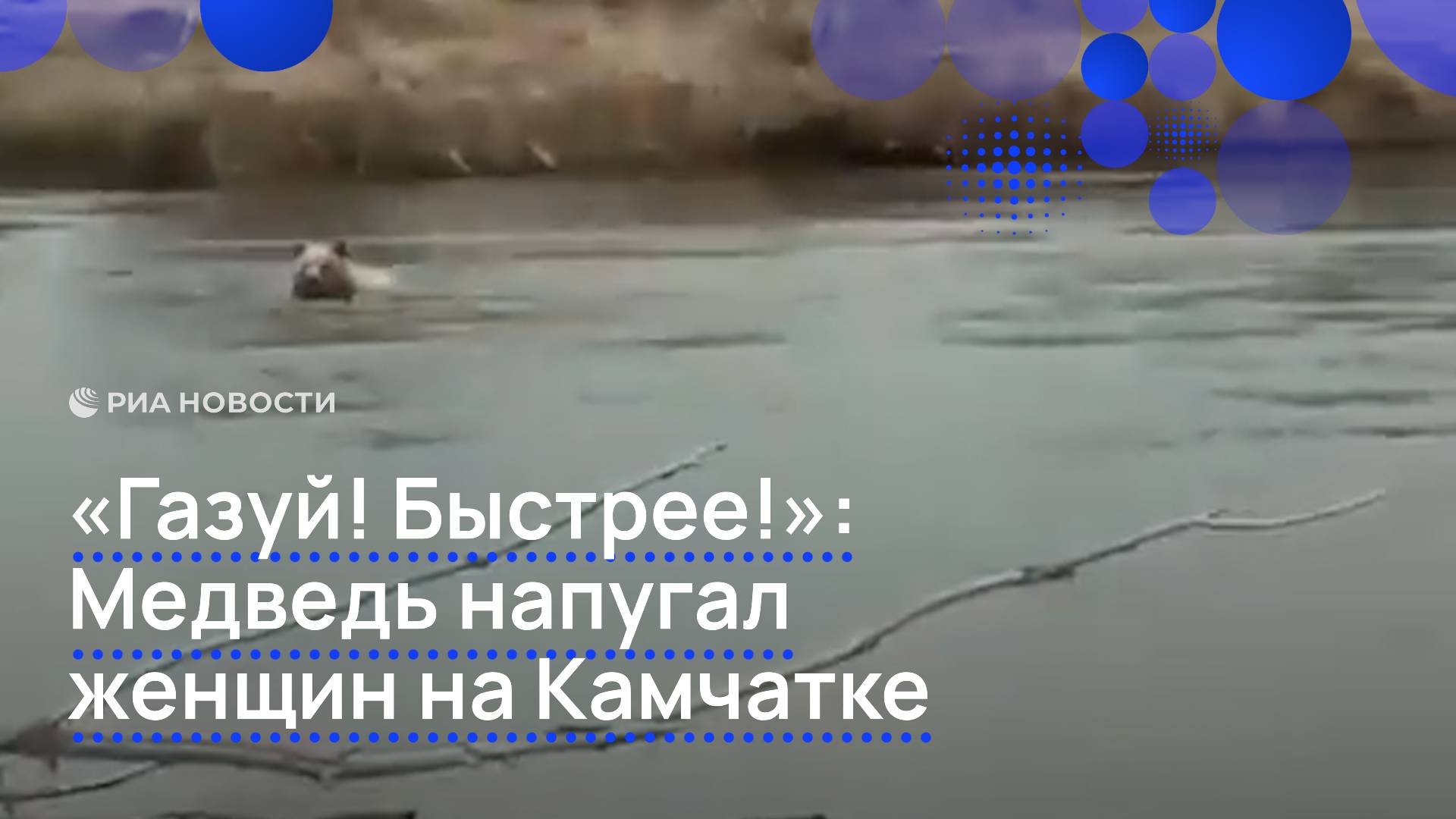 "Газуй! Быстрее!": Медведь напугал женщин на Камчатке