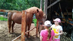 Наш летний школьный лагерь