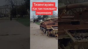На ком кровь? Как там поживает перемирие? Тизенгаузен