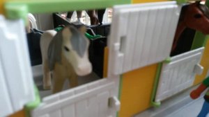 Кск schleich. Обзор по конюшне