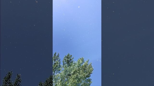 VID20250526111854