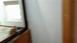 Коломна. Крокодилья ферма.mp4