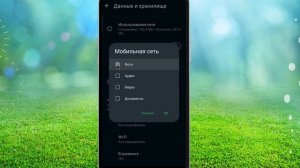 Как остановить автоматическую загрузку WhatsApp в 2024