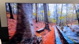 Телевизор LG 55QNED80T6A 2024