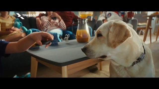 Вселенная возможностей «Триколор»: медиахаб МИНИ смотреть онлайн