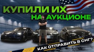 Взяли турбовый Taycan, EQE 500 и другие авто с аукциона США.